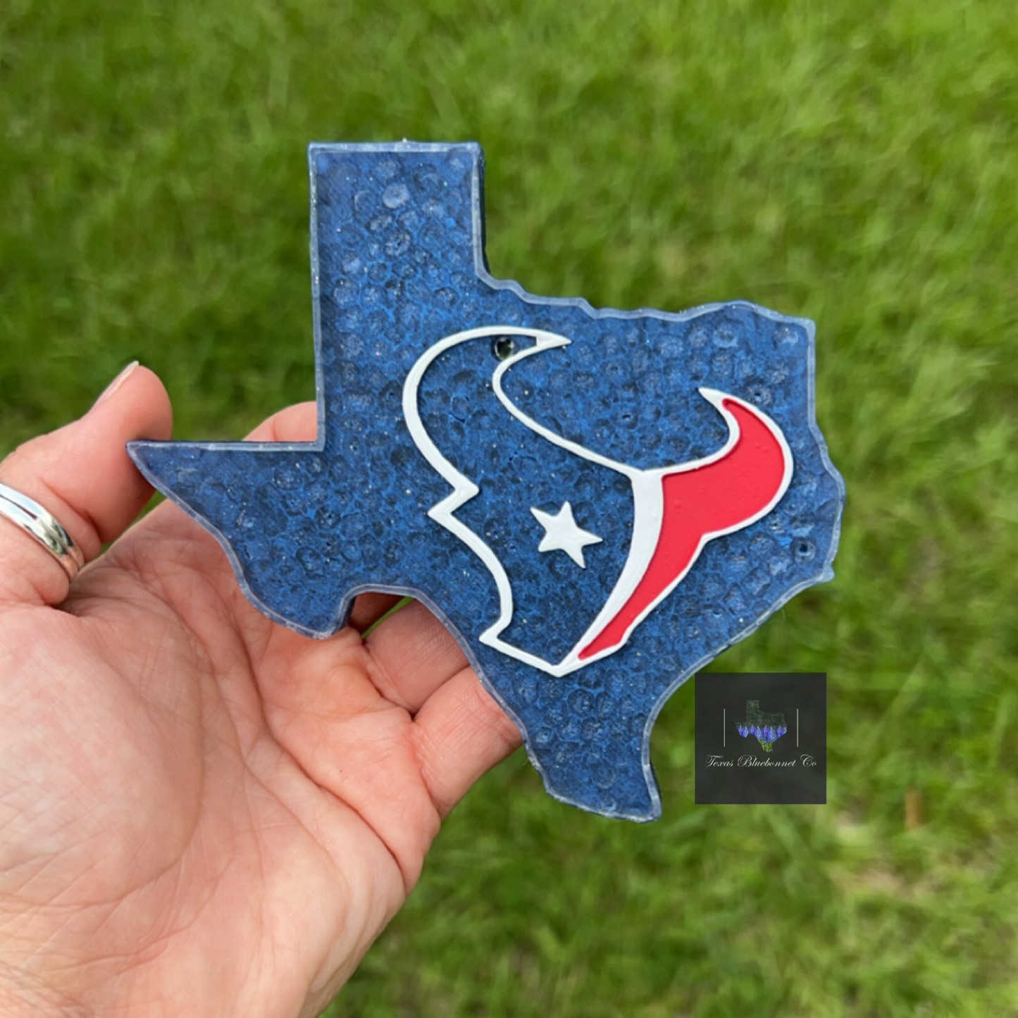 TEXANS TEXAS