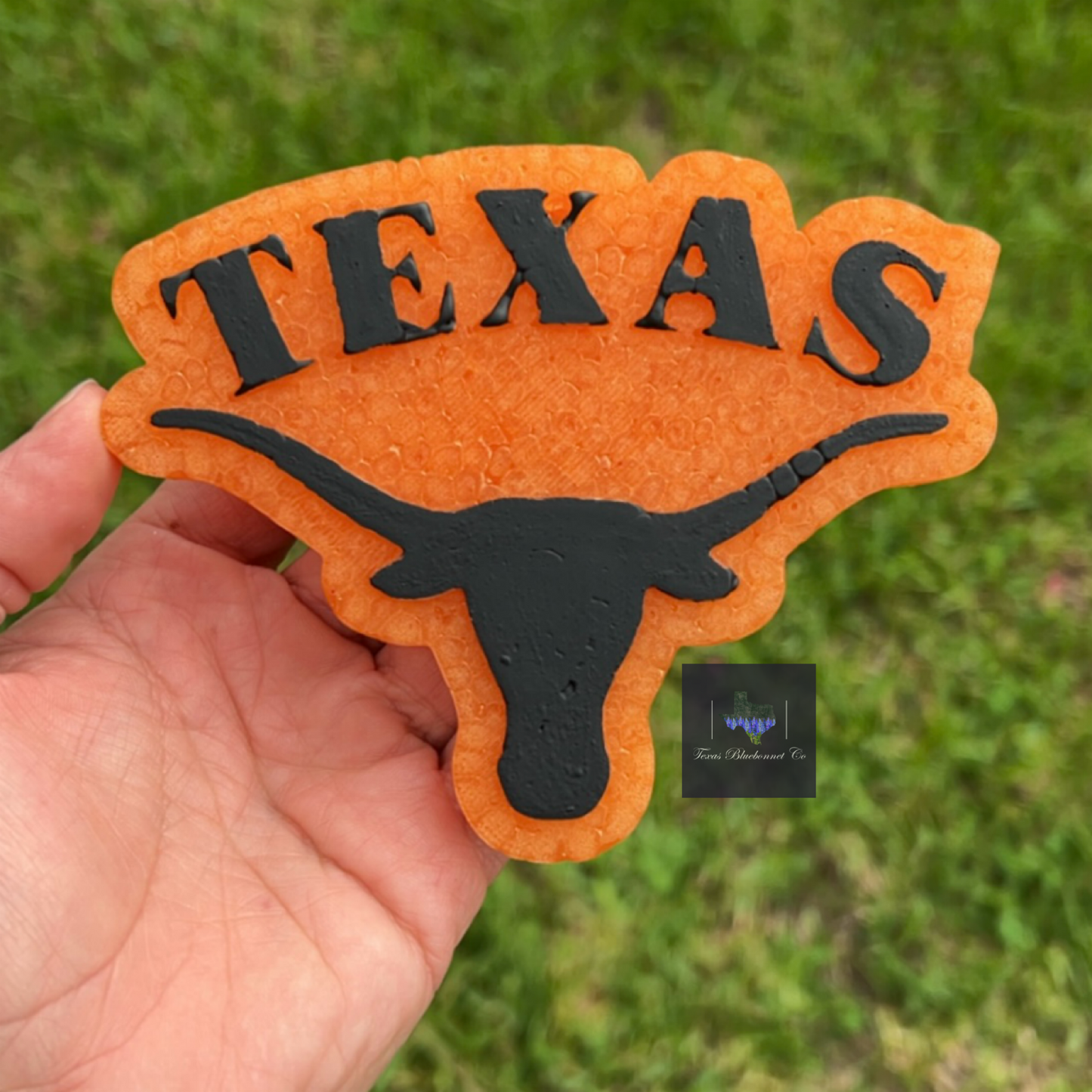 TEXAS LONGHORN