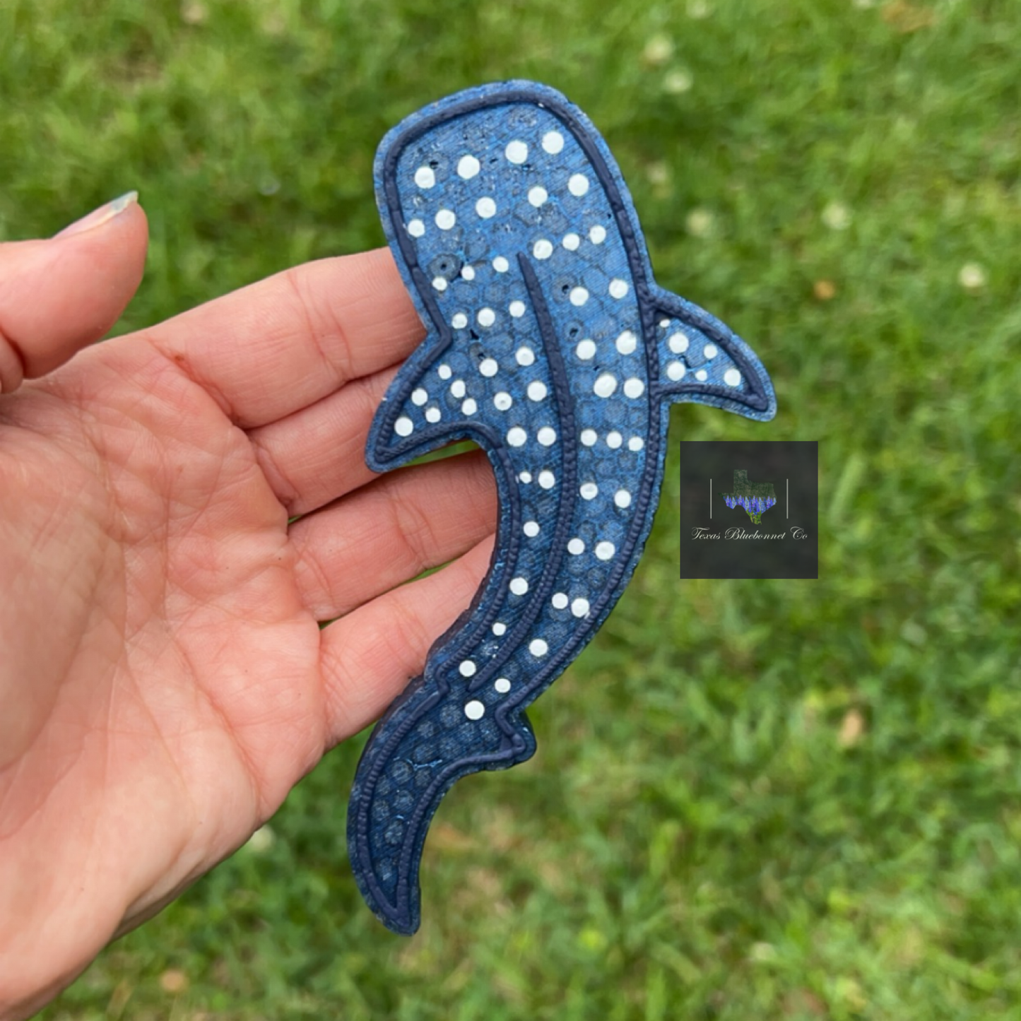 WHALE SHARK