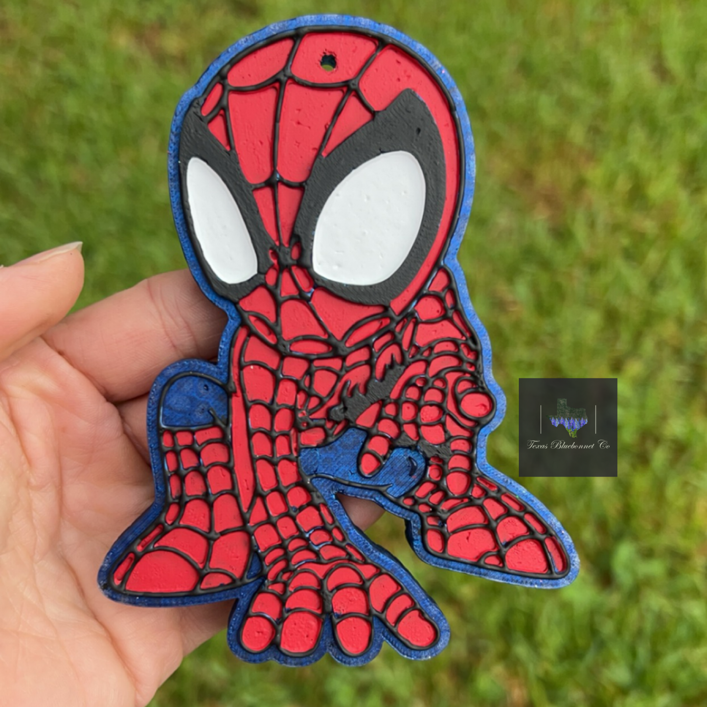 SPIDER MAN