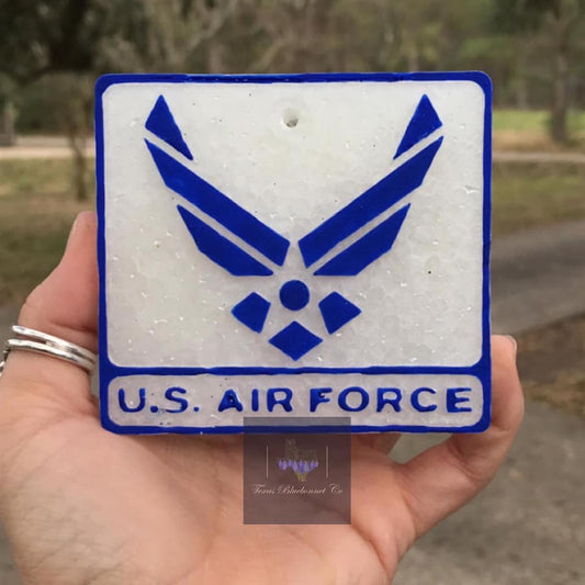 US AIR FORCE