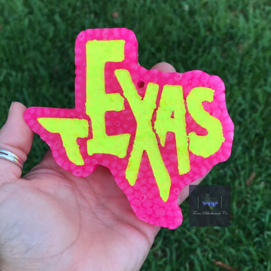 NEON TEXAS